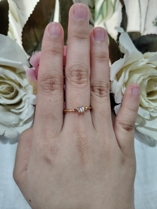 Antitarnish adjustable ring
