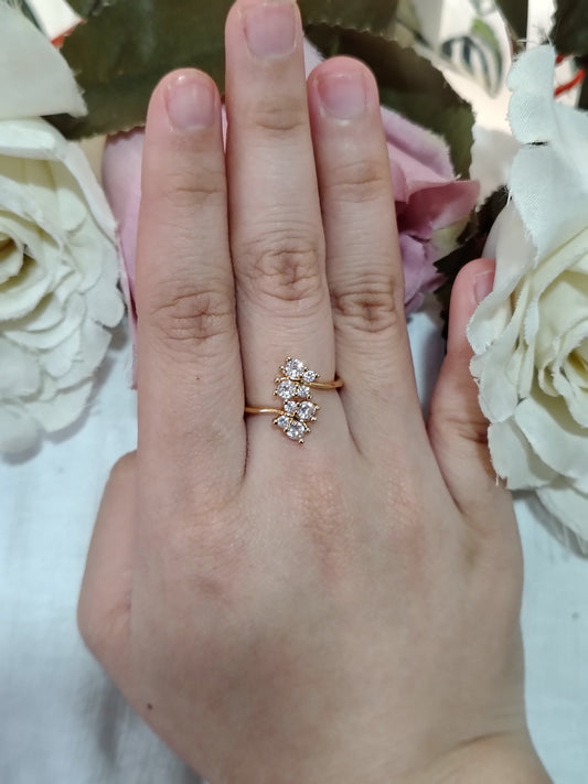 Antitarnish adjustable ring