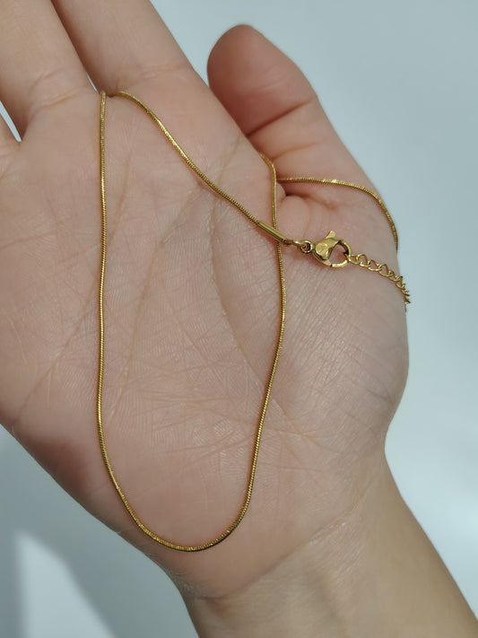 Antitarnish necklace